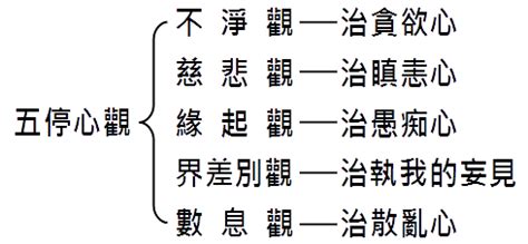 伏案別淨|五停心觀